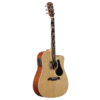 Alvarez Artist AD60CE Natural Gloss