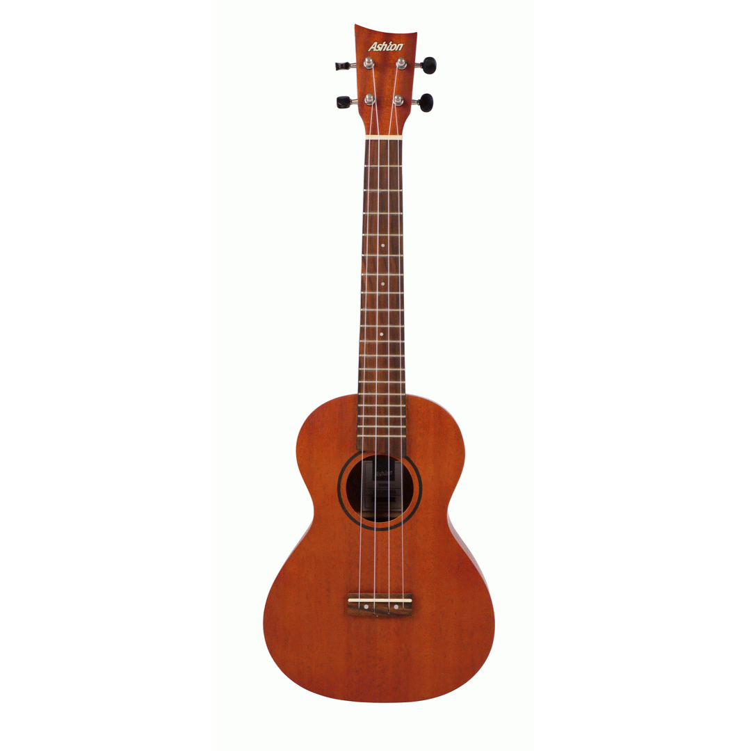 Ashton cheap ukulele concert
