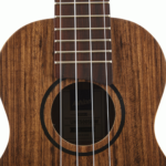Ashton UKE500SBW Soprano Ukulele Black Walnut Wood1