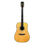 Enya T-10SD AcousticPlus Solid Spruce Top