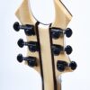 BC Rich Warbeast Extreme Exotic With Floyd Rose Spalted Maple
