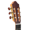 Kremona Fiesta F65CW-SB Solid Spruce Top