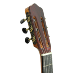Kremona Rosa Negra Solid European Spruce Top