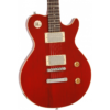 Samick AV-1 WR Greg Bennett Avion Series