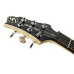 Samick IC-20 BK Greg Bennett Interceptor II Series