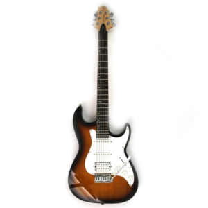 Samick MB-1 TS Greg Bennett Malibu Series