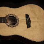 Washburn Harvest D7S