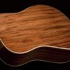 Washburn Harvest D7S