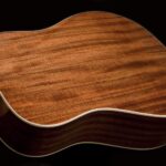 Washburn Harvest D7S