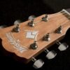 Washburn Harvest D7S