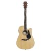 Alvarez Artist AD70WCE Natural Gloss