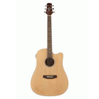 Ashton D20CEQ NTM Dreadnought Cutaway