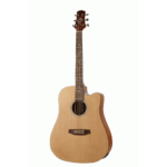 Ashton D20CEQ NTM Dreadnought Cutaway