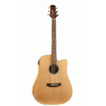 Ashton D20CEQ NTM Dreadnought Cutaway