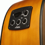 Ashton D20CEQ NTM Dreadnought Cutaway
