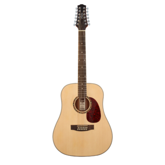 Ashton D25 12 NTM 12-string Dreadnought