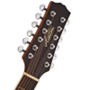 Ashton D25 12 NTM 12-string Dreadnought