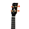 Enya MS Concert Solid Mahogany