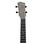 Enya Nova U Pro Tenor Black AcousticPlus