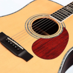 Enya T-10D Acoustic Solid Spruce Top