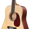 Ashton D25 12EQ NTM 12-string Dreadnought
