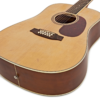 Ashton D25 12EQ NTM 12-string Dreadnought