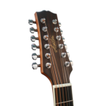 Ashton D25 12EQ NTM 12-string Dreadnought