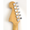 Washburn X12QVSK X Series